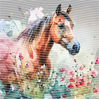 Animal Integration-DW 405